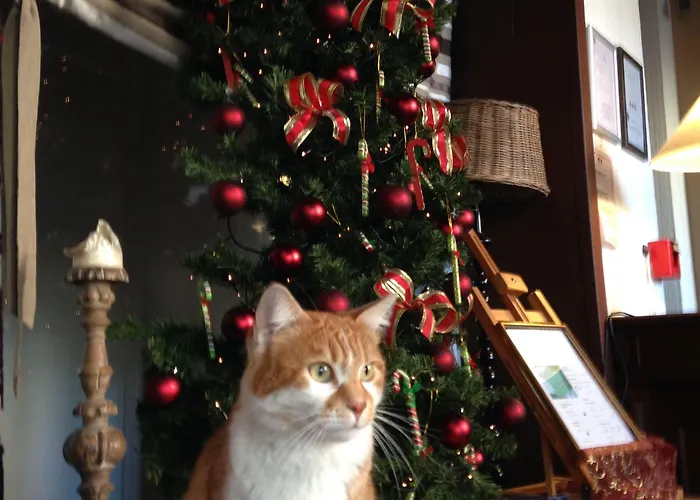 De La Bourse, Gare, Sure Collection By Western Hotel 3*